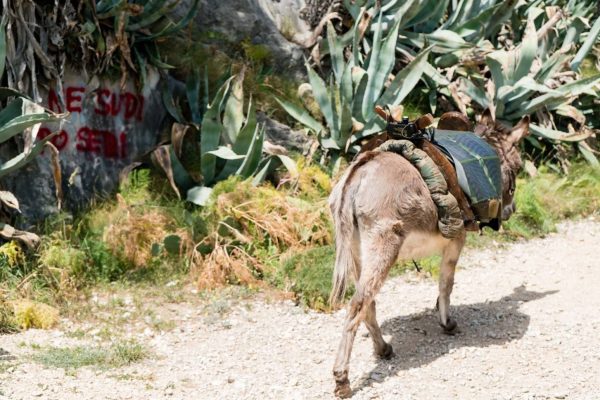 18449418_10213230211972607_3004752281986637620_o