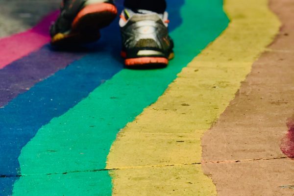 bella-the-brave-KZ-jWI55PCY-unsplash_kvadrat