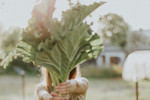 daiga-ellaby-eSPAhnJcEY8-unsplash_kvadrat