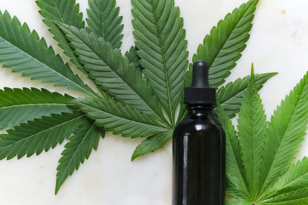 kimzy-nanney-b2haCjfk_cM-unsplash_kvadrat