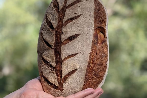 raz-gilboa-ktWcwcu2IwE-unsplash_kvadrat